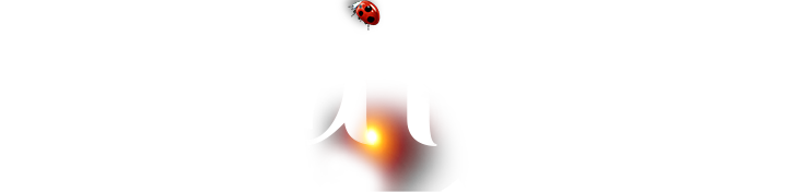 必赢亚洲·bwin(中国区)官方网站