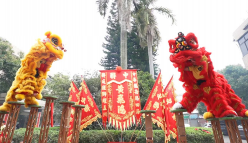 Dragon leaps and lion leaps, cast a brilliant future!